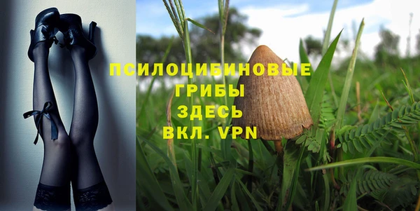 PSILOCYBIN Аркадак