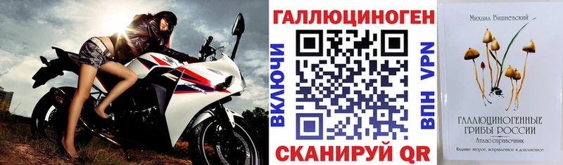 Псилоцибиновые грибы Psilocybine cubensis  Мытищи 